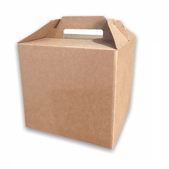 Carton Food Box with Handles
